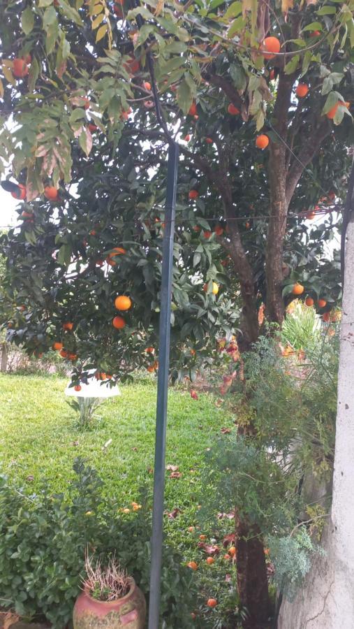 فيلا Casa Dos Gansos Perais المظهر الخارجي الصورة